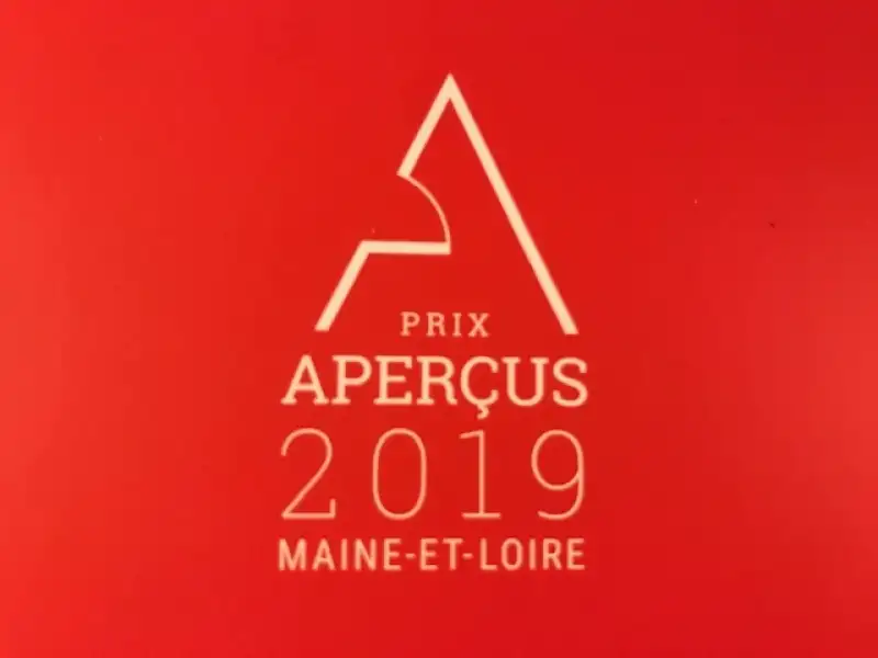 Logo Prix aperçu 2019