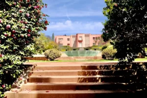 Photo de La Casa Serralves depuis son jardin